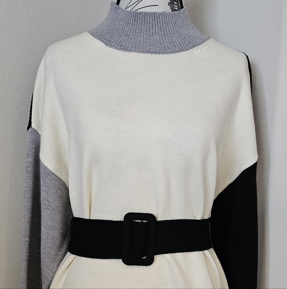 Muse Cream and Gray Colorblock Turtleneck Sweater with Black Belt